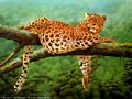 0a_sfondi_animali_11.jpg (3240 byte)