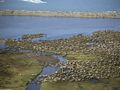 tn_sfondi-animali-03.jpg (2996 byte)