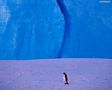 tn_sfondi-animali-05.jpg (3607 byte)