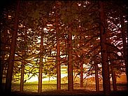 a03.jpg (4894 byte)