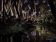 a04.jpg (5260 byte)