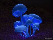 a06.jpg (3846 byte)