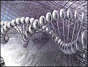 a04.jpg (5260 byte)