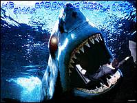 a07.jpg (3914 byte)