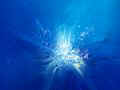 0a_sfondi_arte_09.jpg (3495 byte)