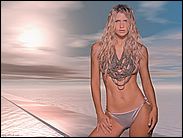 a04.jpg (5260 byte)