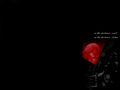 tn_01.jpg (4244 byte)