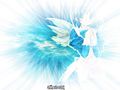 tn_01.jpg (4244 byte)