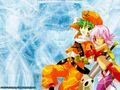 tn_08.jpg (4138 byte)