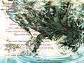 tn_04.jpg (5238 byte)