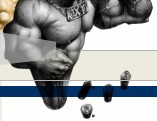 BodyBuilding Homepage, il portale italiano del bodybuilding e del fitness