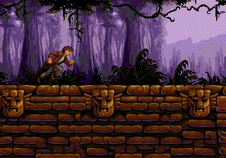 3pitfall5.gif (26519 byte)