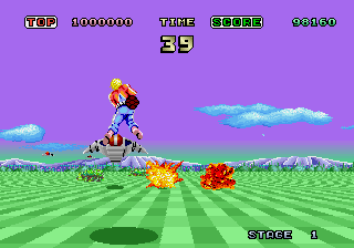 harrier.gif (9750 byte)
