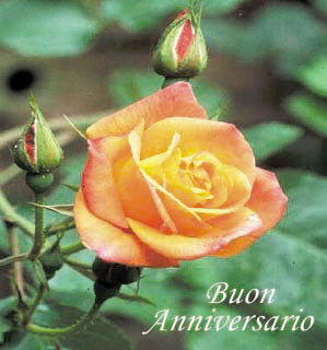 anniversario007.jpg (24842 byte)