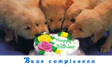 Auguri Di Buon Compleanno Con Animali Carla Vong Blog