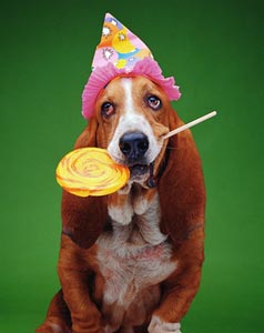 compleanno025.jpg (11447 byte)