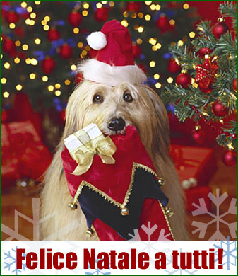 natale034.jpg (55349 byte)