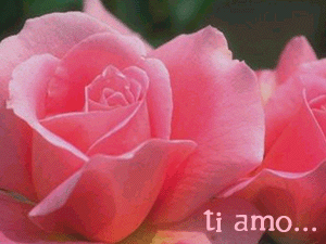 sanvalentino027.gif (51500 byte)