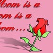 festa-della-mamma3.jpg (4204 byte)