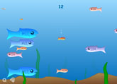 go-fishy.jpg (4386 byte)