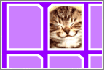 memorycat.gif (2221 byte)