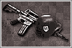 fightingag.gif (3790 byte)