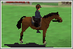 horserace.gif (3446 byte)