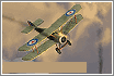 dogfight2.gif (3751 byte)