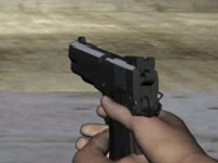 Lastbullet.gif (17827 byte)