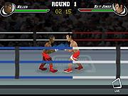 Sidering-Knockout.jpg (7549 byte)