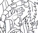 jungle-coloring-book.jpg (6575 byte)