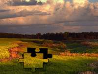 jigsaw_country.gif (20685 byte)