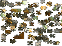 jigsaw_lizard.gif (18513 byte)