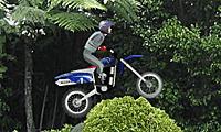 super_bike_x.jpg (9709 byte)