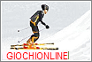 skisim.gif (5575 byte)