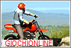 springbike.gif (4563 byte)