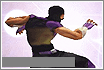 theperfectfighter.gif (6003 byte)