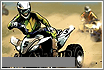 3dquadbikeracing.gif (6614 byte)