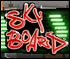 skyboardsmallicon.jpg (3511 byte)