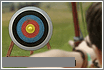 maxarrowarchery.gif (6350 byte)