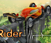 rave-rider.gif (22849 byte)