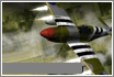 wingsofwar.gif (6643 byte)