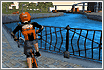 streetridek.gif (3653 byte)