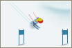 wintergames2006.gif (1505 byte)