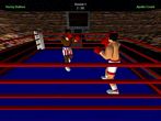 08rocky_3d.jpg (4976 byte)