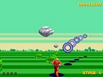 05dl_harrier.jpg (4229 byte)