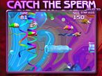 04catch_the_sperm_3.jpg (6724 byte)