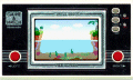 turtlebr.gif (7318 byte)