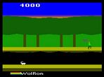 05pitfall2.jpg (4175 byte)