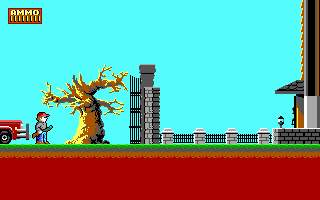 z1.jpg (3251 byte)